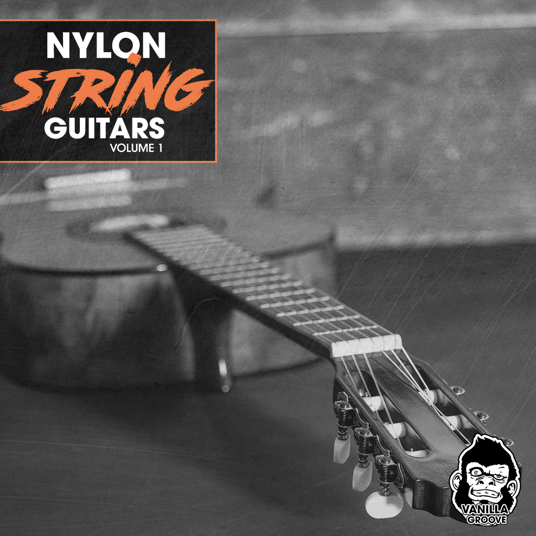 Nylon String vs Steel String Guitar! - Which One Should You buy? 