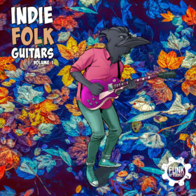 Indie Folk Guitars Vol 1