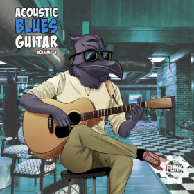 Acoustic Blues Guitar Vol 1